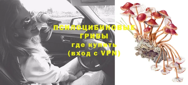 амф Ельня