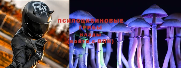 амф Ельня
