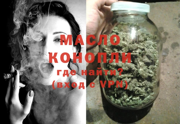 амф Ельня