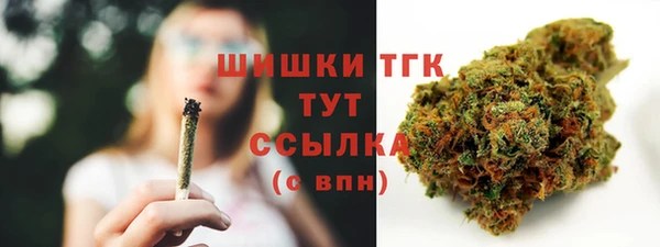 амф Ельня
