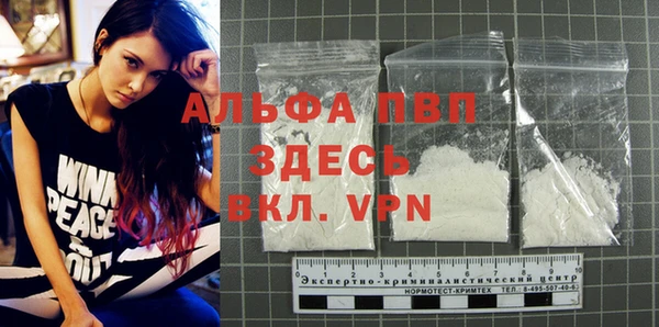 амф Ельня