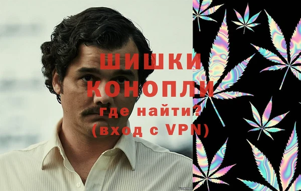 амф Ельня