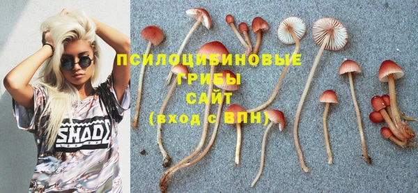 стафф Елизово