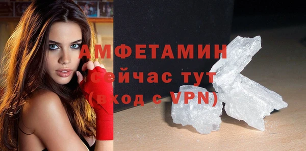 амф Ельня
