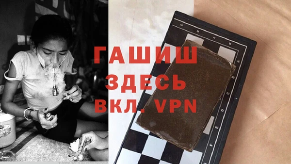 амф Ельня