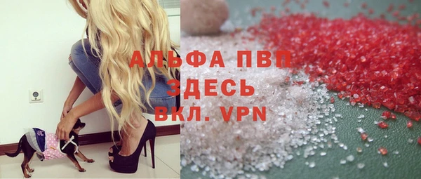стафф Елизово