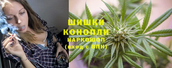амф Ельня