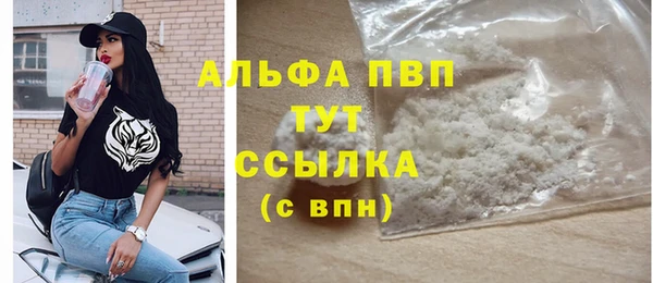 амф Ельня