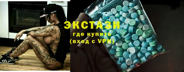 амф Ельня