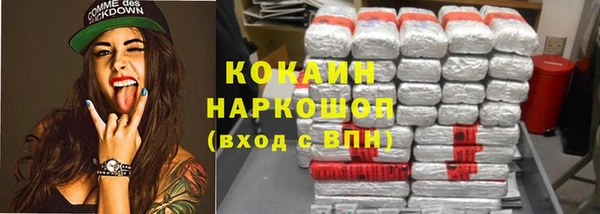 стафф Елизово